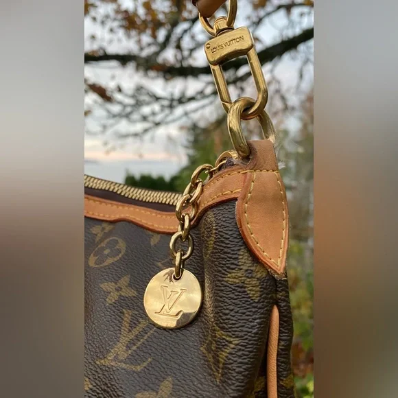 Louis Vuitton Palermo Handbag Monogram Canvas GM - Picture 2 of 16